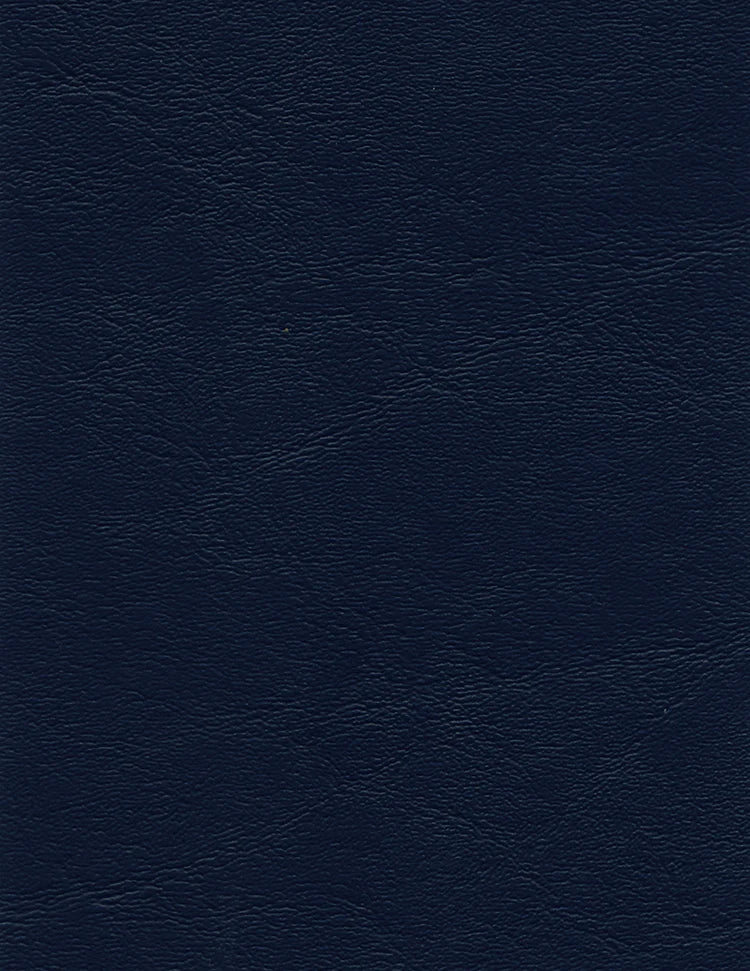 Miami – Marino