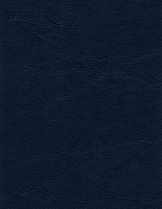 Miami – Marino