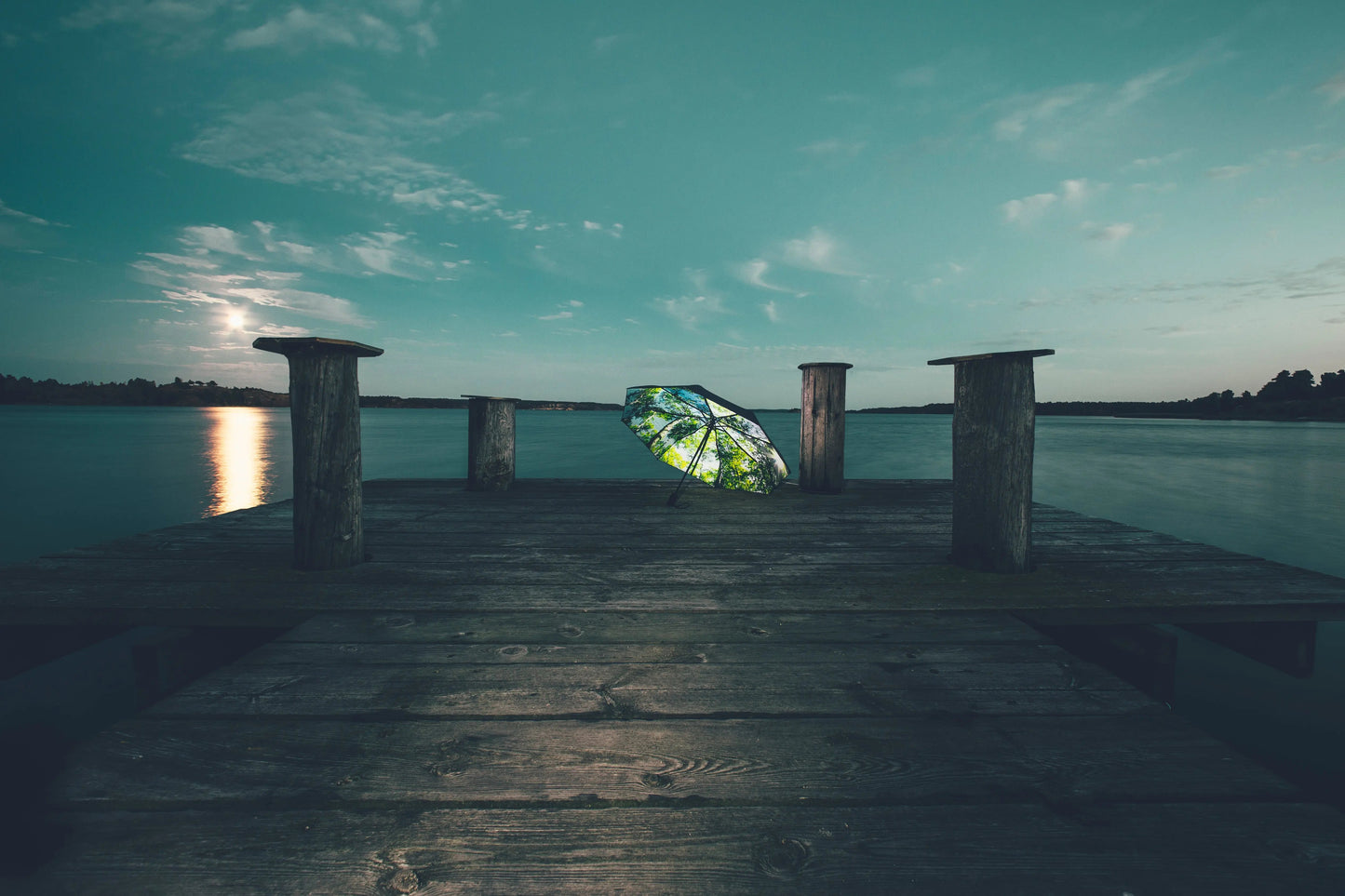 Paraply - Skog och träd