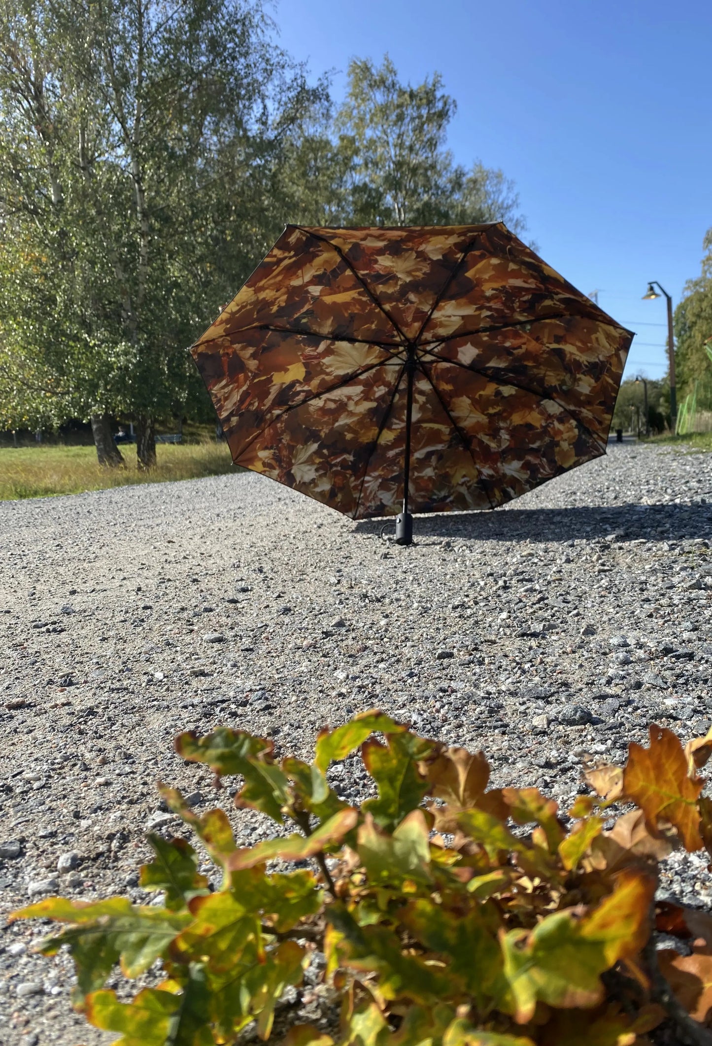 Paraply - Höstlöv