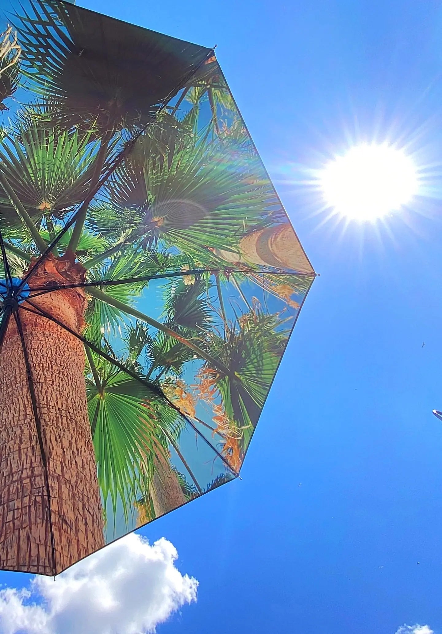 Paraply - Välkommen till paradiset