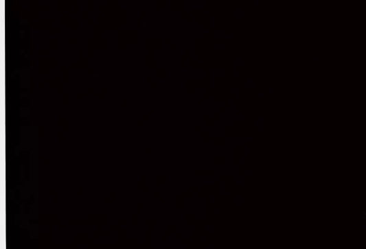 Supertrans Negro 63 cm