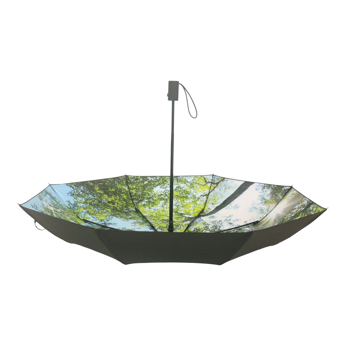 Paraply - Skog och träd