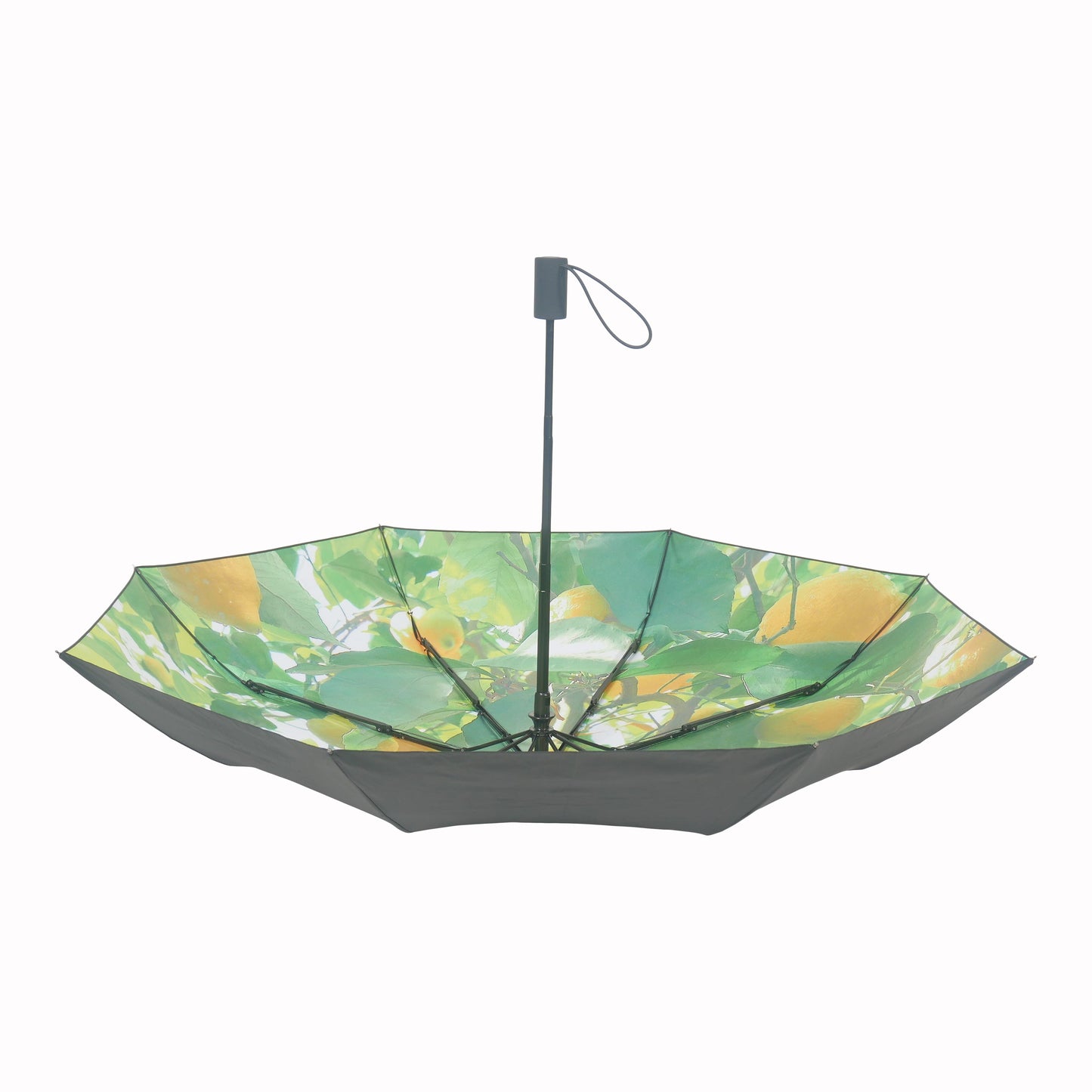 Paraply - Citroner i södra Europa